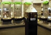 /album/fotogalerie-prachenske-muzeum-v-pisku/nerostne-bohatstvi-jpg1/